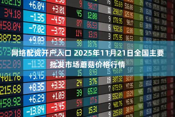 网络配资开户入口 2025年11月21日全国主要批发市场蘑菇价格行情